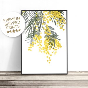 May include: A black and white photograph of a branch of yellow mimosa flowers with green leaves against a white background.