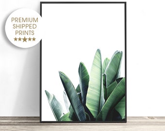 Banana Leaf Print, Tropical Decor, Botanical Art Photography Print, Tropical Leaf Wall Art, Plant Print, Green