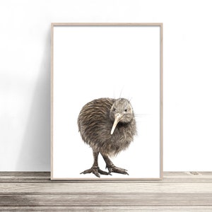 Kiwi Bird Print / New Zealand Bird Art / Bird Photography / New Zealand Nursery Artwork / New Baby Gift Boy or Girl / NZ Nursery Decor