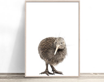 Kiwi Bird Print | New Zealand Bird Art | Bird Photography | New Zealand Nursery Artwork | New Baby Gift Boy or Girl | NZ Nursery Decor
