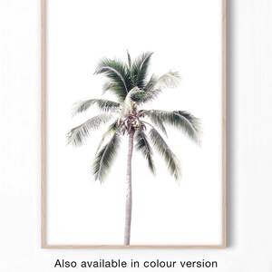 May include: A framed print of a single palm tree with green leaves against a white background.