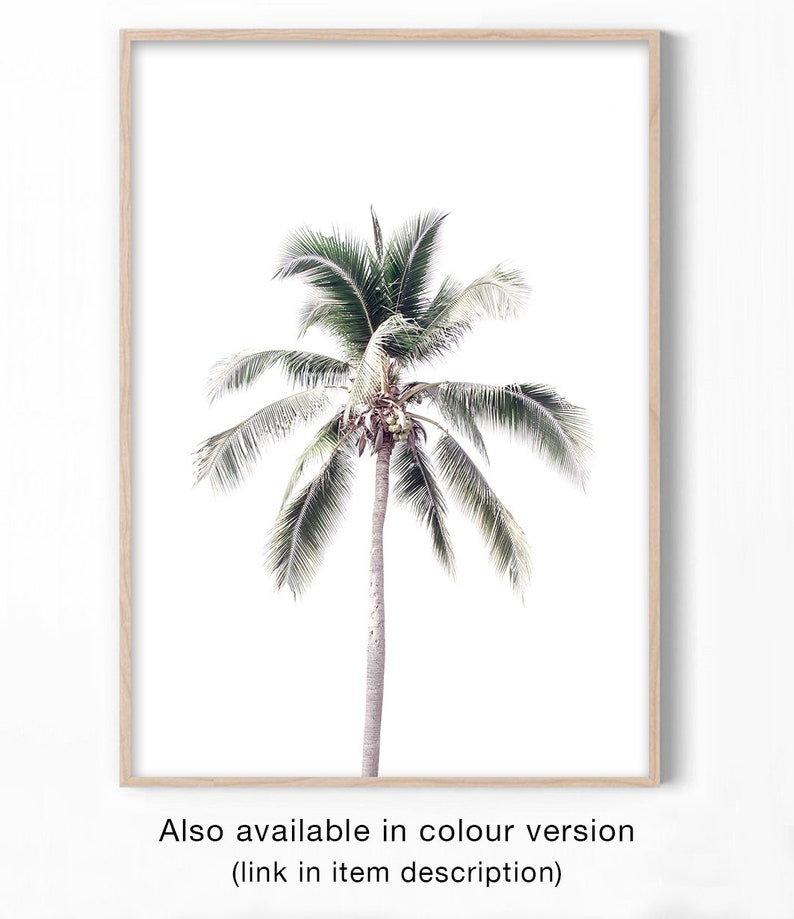 May include: A framed print of a single palm tree with green leaves against a white background.