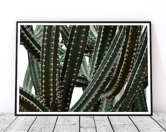 Cactus Art, Desert Print, Southwestern Decor, Cactus Decor, Cactus Wall Art, Botanical Art, Cactus Print, Botanical Print, Statement Art