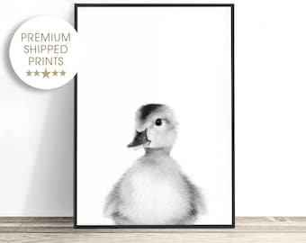 Baby Duck Print, Duckling Photo, Baby Animal Print for Nursery, Animal Wall Art, Baby Nursery Decor, Farm Nursery, Black and White Baby Room