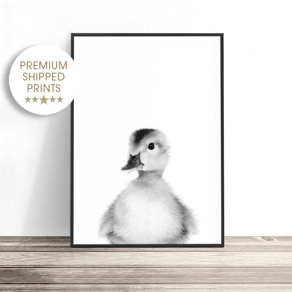 Baby Duck Print, Duckling Photo, Baby Animal Print for Nursery, Animal Wall Art, Baby Nursery Decor, Farm Nursery, Black and White Baby Room