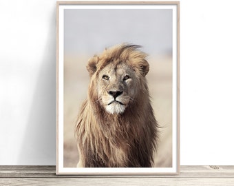Lion Wall Art | African Animal Photography Print | Lion Print | Lion Portrait Artwork | Lion Photo Poster