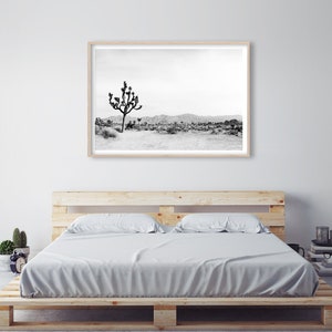 May include: Black and white photograph of a lone Joshua tree in a desert landscape. The tree is in the foreground, with a mountain range in the background.