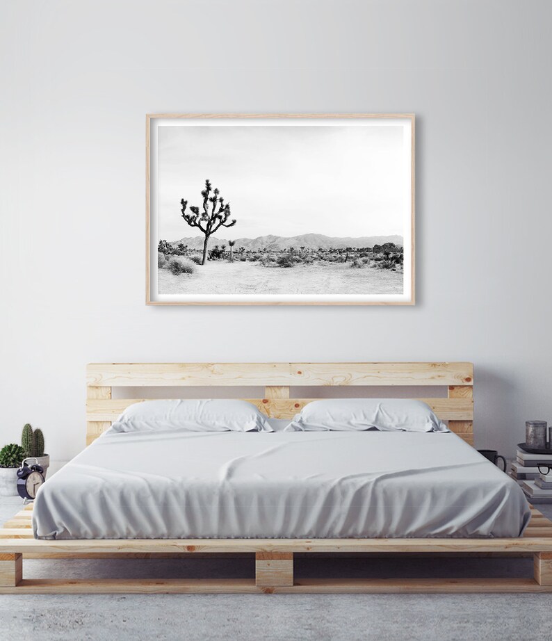 May include: Black and white photograph of a lone Joshua tree in a desert landscape. The tree is in the foreground, with a mountain range in the background.