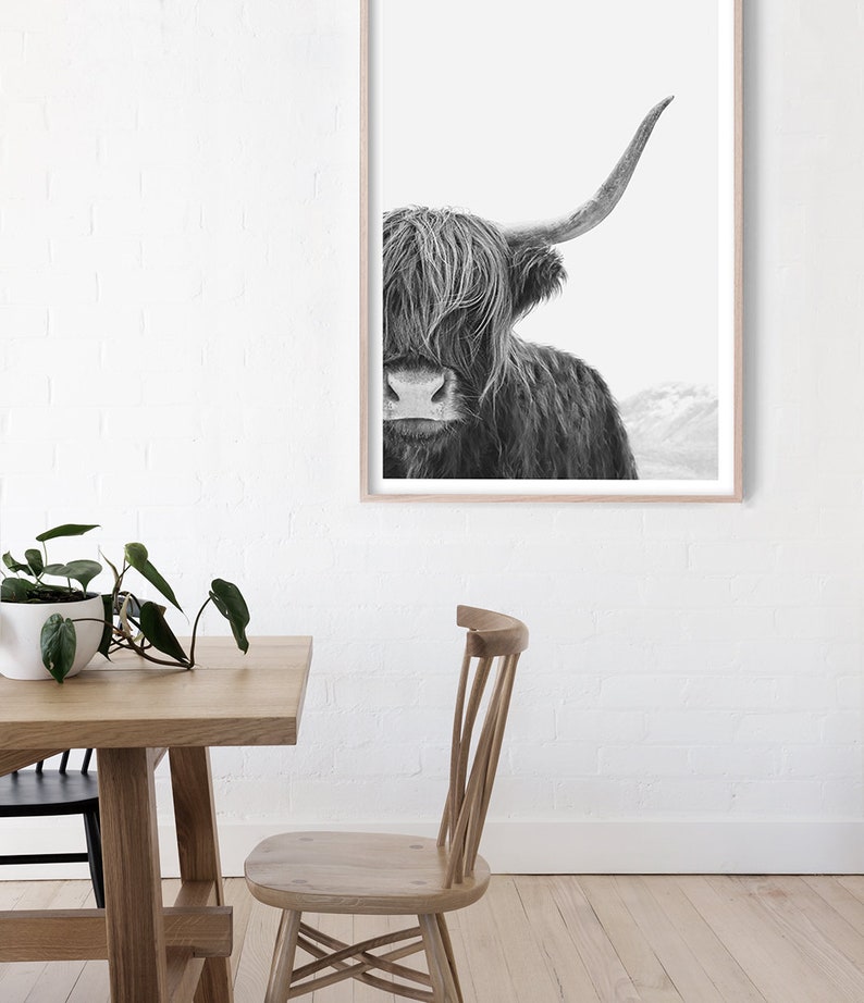 Black and White Highland Cow Print, Cow Wall Art, Photography Print, Poster image 3