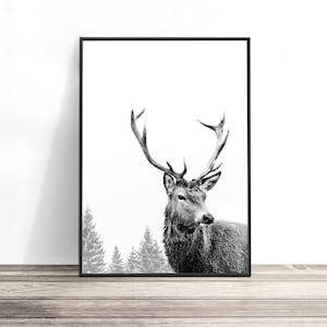 Pode incluir: Uma fotografia a preto e branco de um veado com grandes chifres de p&eacute; numa floresta nevada. O veado est&aacute; a olhar para a direita do enquadramento.