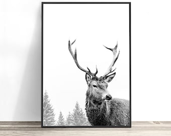 Deer Print, Scandinavian Print, Stag Print, Modern Scandinavian Decor, Nordic Wall Art Poster, Black and White Print, Scandinavian Wall Art