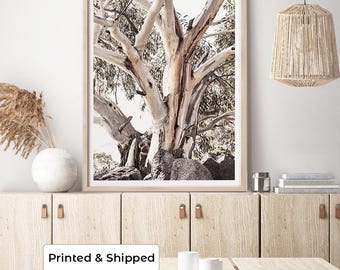 Lámina de eucalipto / Póster de arte paisajístico australiano / Lámina de la naturaleza australiana / Fotografía de eucalipto / Arte australiano moderno / Outback