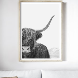 Black and White Highland Cow Print, Cow Wall Art, Photography Print, Poster image 2