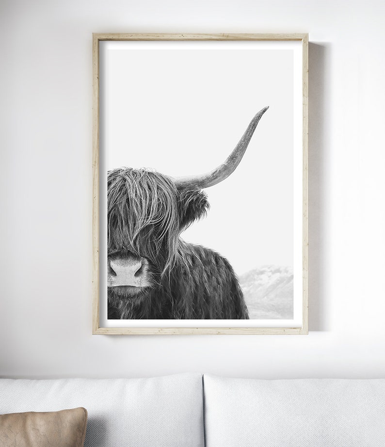 Black and White Highland Cow Print, Cow Wall Art, Photography Print, Poster image 2