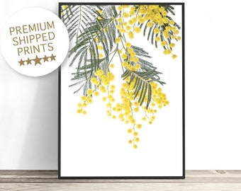 Wattle Print, Yellow Flower Art, Australian Native Flower Print, Botanical Print, Australian Flora Plant Print, Mimosa Flower Photography