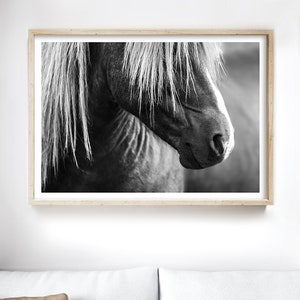 Puede incluir: Una fotograf&iacute;a en blanco y negro de la cabeza y el cuello de un caballo. El caballo tiene una melena larga y fluida y una expresi&oacute;n suave y gentil.