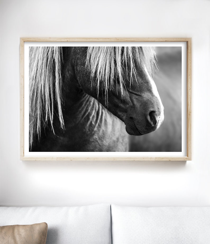 Puede incluir: Una fotograf&iacute;a en blanco y negro de la cabeza y el cuello de un caballo. El caballo tiene una melena larga y fluida y una expresi&oacute;n suave y gentil.