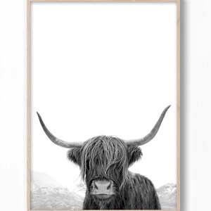Highland Cow Art, Black and White Print, Animal Photography, Highland Cow Print, Animal Art Print, Cow Photo, Bull Print 画像 2
