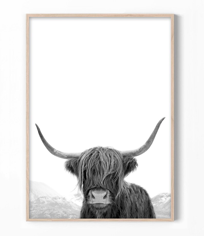 Highland Cow Art, Black and White Print, Animal Photography, Highland Cow Print, Animal Art Print, Cow Photo, Bull Print 画像 2
