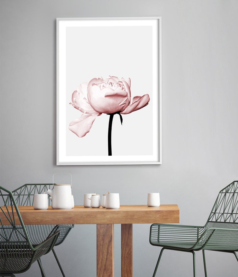 Pink Peony Print Blush Pink Wall Art Pink Flower Wall Art | Etsy