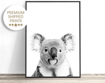 May include: Black and white photograph of a koala bear looking directly at the camera.