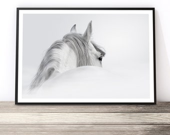 Black and White Horse Print, Horse Wall Art, Horse Photography, Animal Art, Horse Art Print, Gift for Horse Lover, Horse Decor