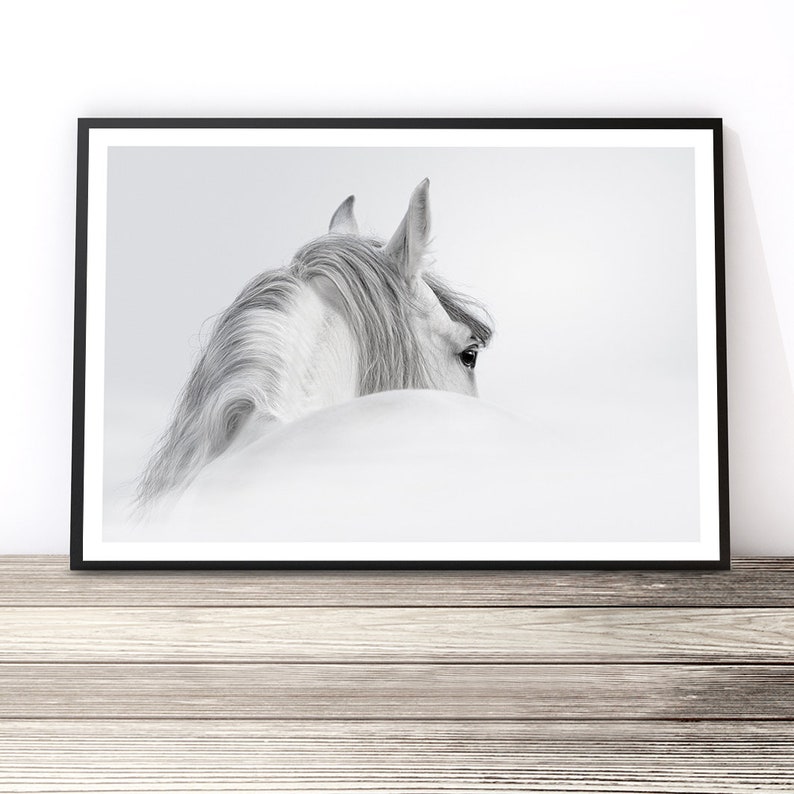 Black and White Horse Print, Horse Wall Art, Horse Photography, Animal Art, Horse Art Print, Gift for Horse Lover, Horse Decor image 1