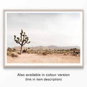 May include: A black and white photograph of a Joshua Tree in the desert. The tree is in the foreground, with a mountain range in the background. The sky is cloudy and the ground is dry and dusty.