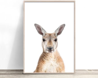 May include: A framed print featuring a close-up of a kangaroo. The kangaroo has light brown fur and large ears. The print is in a light-colored wooden frame, set against a white background. The artwork is displayed on a wooden surface.