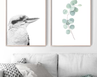 Set of 2 Prints, Australian Prints, Kookaburra Wall Art, Eucalyptus Print, Australian Native Print, Botanical Plant, Bird Photography