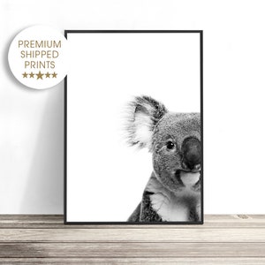 May include: Black and white photograph of a koala bear peeking out from the side of the frame. The koala has a fluffy coat and large, dark eyes.