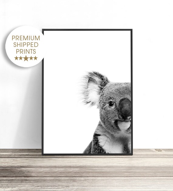 Koala Print, Australian Animal Print, Koala Art Print, Koala Bear Gifts, Black and White Print, Animal Photography, Koala Wall Art