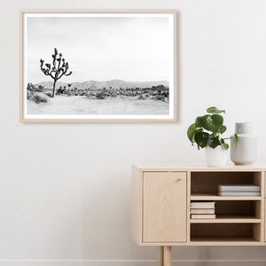 May include: Black and white photograph of a lone Joshua tree in a desert landscape. The tree is in the foreground, with a mountain range in the background.