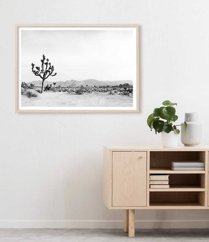 May include: Black and white photograph of a lone Joshua tree in a desert landscape. The tree is in the foreground, with a mountain range in the background.