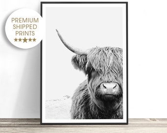 Highland Cow Print, Large Wall Art, Black and White Wall Art, Cow Photo, Animal Photography, Highland Cow Art, Living Room Wall Art, Poster