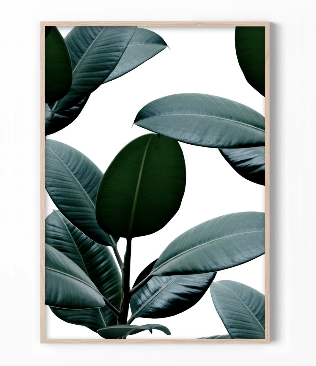 Green Leaves Print Botanical Print Botanical Art Poster | Etsy