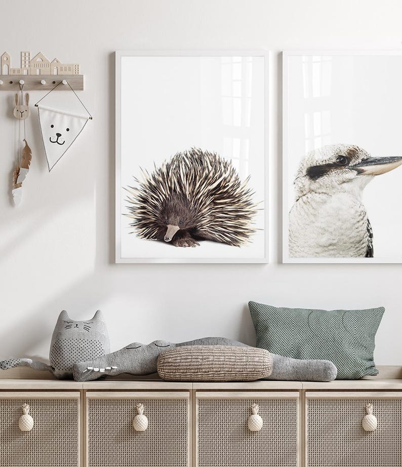 Echidna Print, Native Australian Animal Prints, Australian Wall Art ...