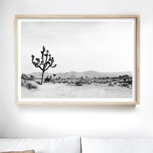 May include: Black and white photograph of a Joshua Tree in the desert. The tree is in the foreground, with a mountain range in the background.