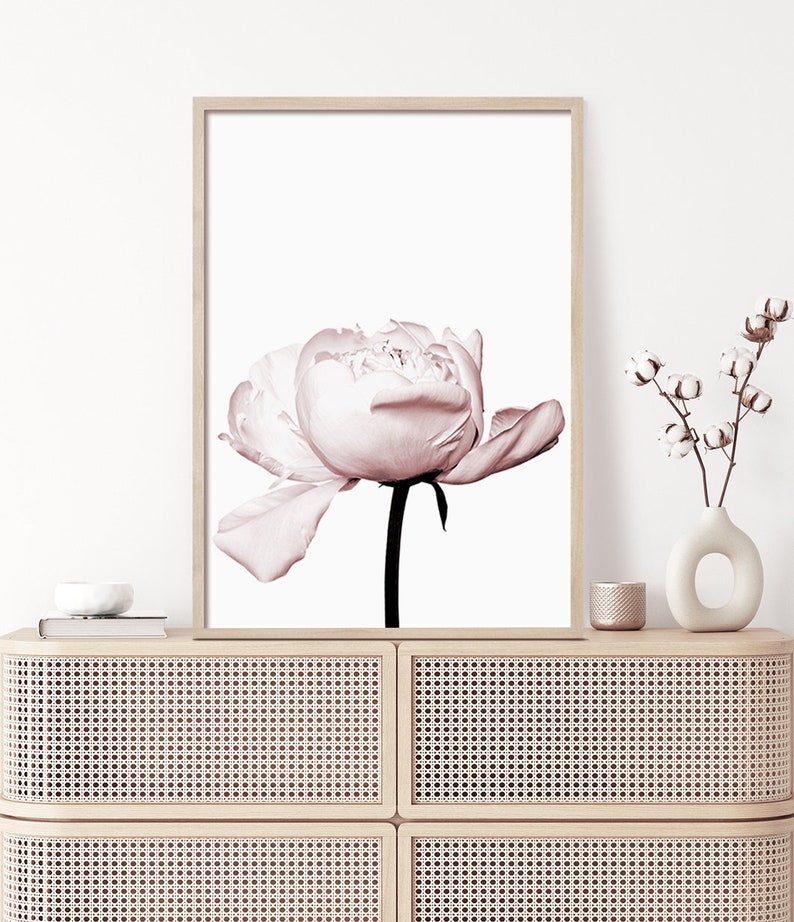 Blush Pink Peony Print | Rose Flower Wall Art | Floral Photography ...