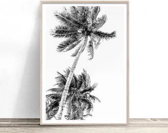 Palm Tree Coastal Print, Tropical Wall Art, Coastal Decor, Black and White Wall Art, Beach House Artwork