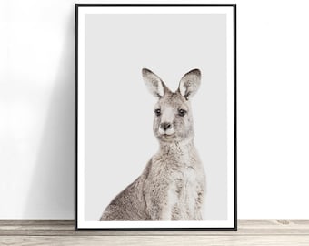 Kangaroo Print, Australian Wall Art, Australian Animal Art, Animal Print, Kangaroo Photography Print, Australiana, Poster, Decor