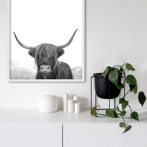 Highland Cow Art, Black and White Print, Animal Photography, Highland Cow Print, Animal Art Print, Cow Photo, Bull Print 画像 4