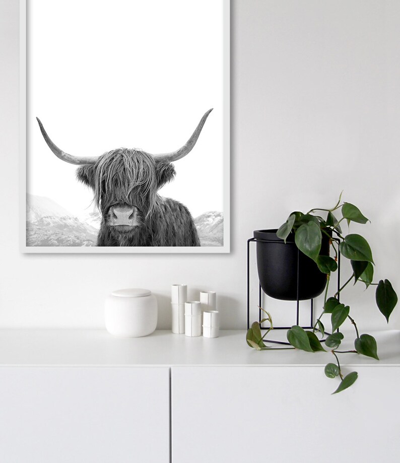 Highland Cow Art, Black and White Print, Animal Photography, Highland Cow Print, Animal Art Print, Cow Photo, Bull Print 画像 4