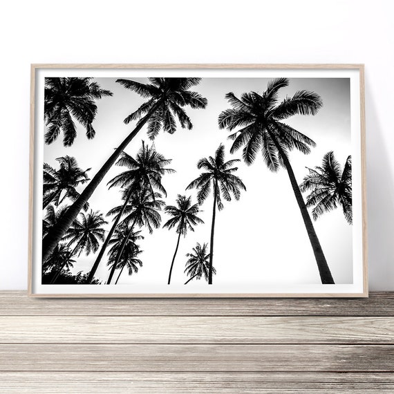 Black and White Palm Tree Print, Tropical Wall Art, Beach House Decor - Etsy