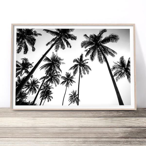 Black and White Palm Trees Wall Art Etsy