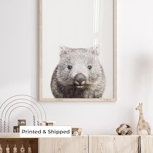 May include: A framed wall art print featuring a high-resolution, black and white photographic portrait of a wombat. The animal is centered, facing forward with detailed fur texture, dark eyes, and a prominent nose against a plain white background.