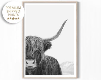 Impresión de vaca de las Tierras Altas en blanco y negro, arte mural de vaca, impresión fotográfica, póster