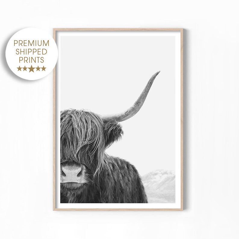 Black and White Highland Cow Print, Cow Wall Art, Photography Print, Poster image 1