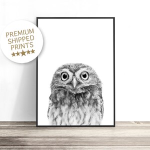 Baby Owl Print, Woodland Animals, Owl Nursery Decor, Woodland Nursery Art, Owl Art Print, Owl Kids Decor, Woodland Theme Kids Room Prints