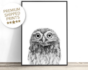 Baby Owl Print, Woodland Animals, Owl Nursery Decor, Woodland Nursery Art, Owl Art Print, Owl Kids Decor, Woodland Theme Kids Room Prints